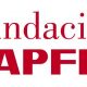 fundacion mapfre